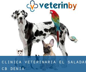 Clínica Veterinaria El Saladar C.B. (Denia)