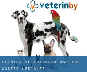Clínica Veterinaria Ostende (Castro-Urdiales)