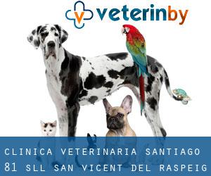Clinica Veterinaria Santiago 81 SLL (San Vicent del Raspeig)