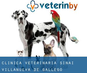 Clinica Veterinaria Sinai (Villanueva de Gállego)