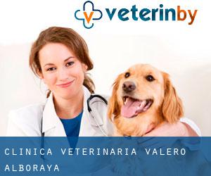 CLINICA VETERINARIA VALERO (Alboraya)