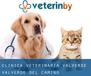 Clínica Veterinaria Valverde (Valverde del Camino)