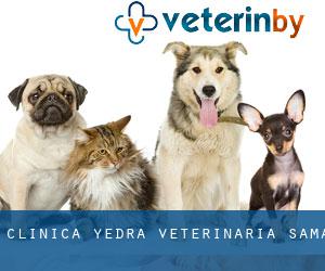 Clínica Yedra Veterinaria (Sama)
