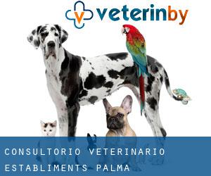 Consultorio Veterinario Establiments (Palma)