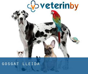 GOS.GAT (Lleida)