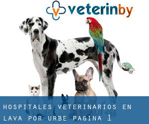 hospitales veterinarios en Álava por urbe - página 1