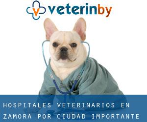 hospitales veterinarios en Zamora por ciudad importante - página 7