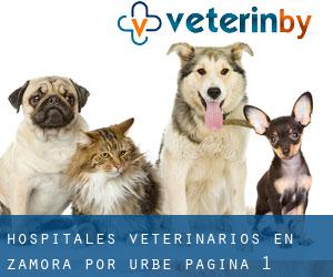 hospitales veterinarios en Zamora por urbe - página 1