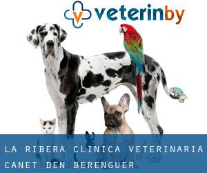 La Ribera Clinica Veterinaria (Canet d'En Berenguer)