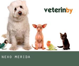 Nexo Mérida