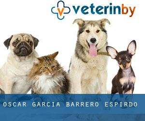 Oscar García Barrero (Espirdo)