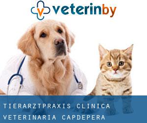Tierarztpraxis / Clinica veterinaria (Capdepera)