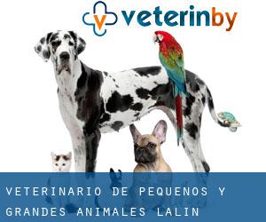 VETERINARIO DE PEQUEÑOS Y GRANDES ANIMALES (Lalín)
