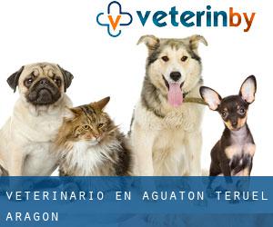 veterinario en Aguatón (Teruel, Aragón)
