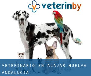 veterinario en Alájar (Huelva, Andalucía)
