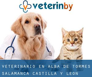 veterinario en Alba de Tormes (Salamanca, Castilla y León)