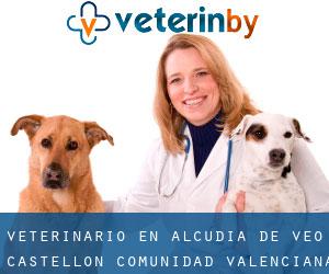 veterinario en Alcudia de Veo (Castellón, Comunidad Valenciana)
