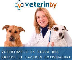 veterinario en Aldea del Obispo (La) (Cáceres, Extremadura)