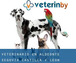 veterinario en Aldeonte (Segovia, Castilla y León) veterinario en Aldeonte (Segovia, Castilla y León)