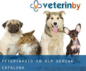 veterinario en Alp (Gerona, Cataluña)