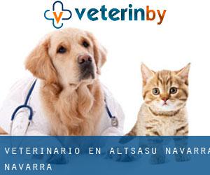veterinario en Altsasu (Navarra, Navarra)