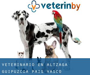 veterinario en Altzaga (Guipúzcoa, País Vasco)