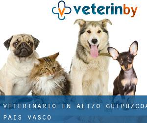 veterinario en Altzo (Guipúzcoa, País Vasco)