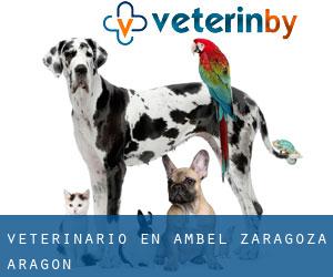 veterinario en Ambel (Zaragoza, Aragón)