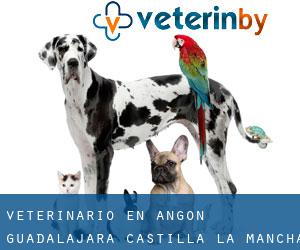 veterinario en Angón (Guadalajara, Castilla-La Mancha)