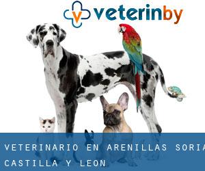 veterinario en Arenillas (Soria, Castilla y León)