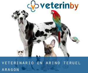 veterinario en Ariño (Teruel, Aragón)