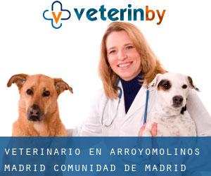 veterinario en Arroyomolinos (Madrid, Comunidad de Madrid)