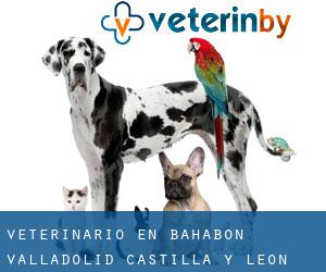 veterinario en Bahabón (Valladolid, Castilla y León)