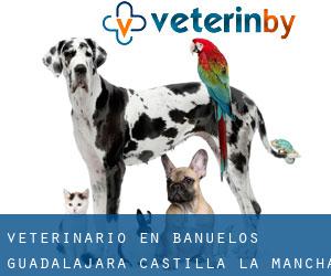 veterinario en Bañuelos (Guadalajara, Castilla-La Mancha)