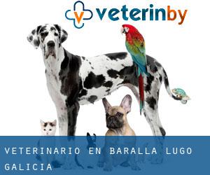 veterinario en Baralla (Lugo, Galicia)
