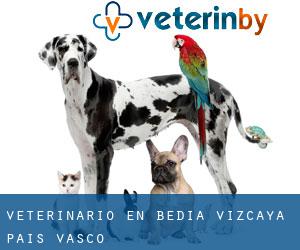 veterinario en Bedia (Vizcaya, País Vasco)