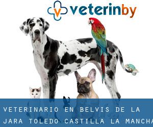 veterinario en Belvis de la Jara (Toledo, Castilla-La Mancha)