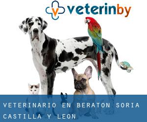 veterinario en Beratón (Soria, Castilla y León)