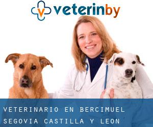 veterinario en Bercimuel (Segovia, Castilla y León)