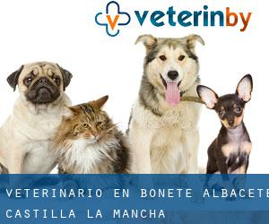veterinario en Bonete (Albacete, Castilla-La Mancha)