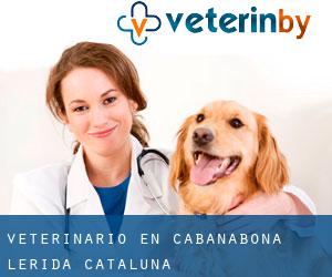 veterinario en Cabanabona (Lérida, Cataluña)
