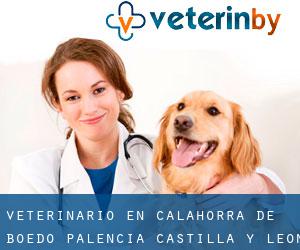 veterinario en Calahorra de Boedo (Palencia, Castilla y León)
