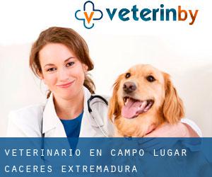 veterinario en Campo Lugar (Cáceres, Extremadura)