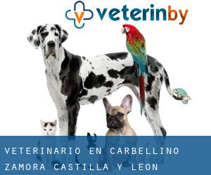 veterinario en Carbellino (Zamora, Castilla y León)
