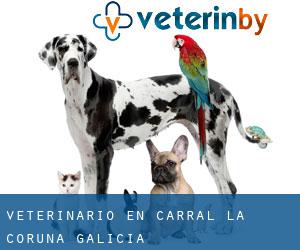 veterinario en Carral (La Coruña, Galicia)