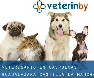 veterinario en Caspueñas (Guadalajara, Castilla-La Mancha)
