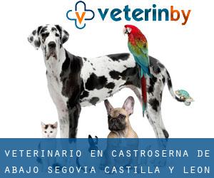 veterinario en Castroserna de Abajo (Segovia, Castilla y León)