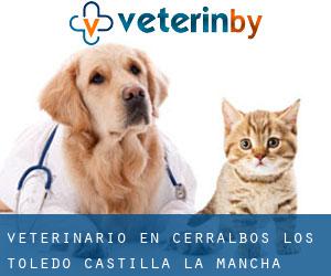 veterinario en Cerralbos (Los) (Toledo, Castilla-La Mancha)