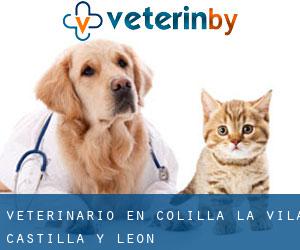 veterinario en Colilla (La) (Ávila, Castilla y León)