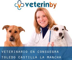 veterinario en Consuegra (Toledo, Castilla-La Mancha)
